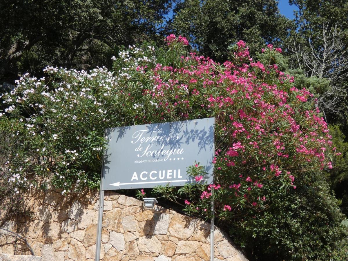 Holiday home Les Terrasses De Scalegiu *