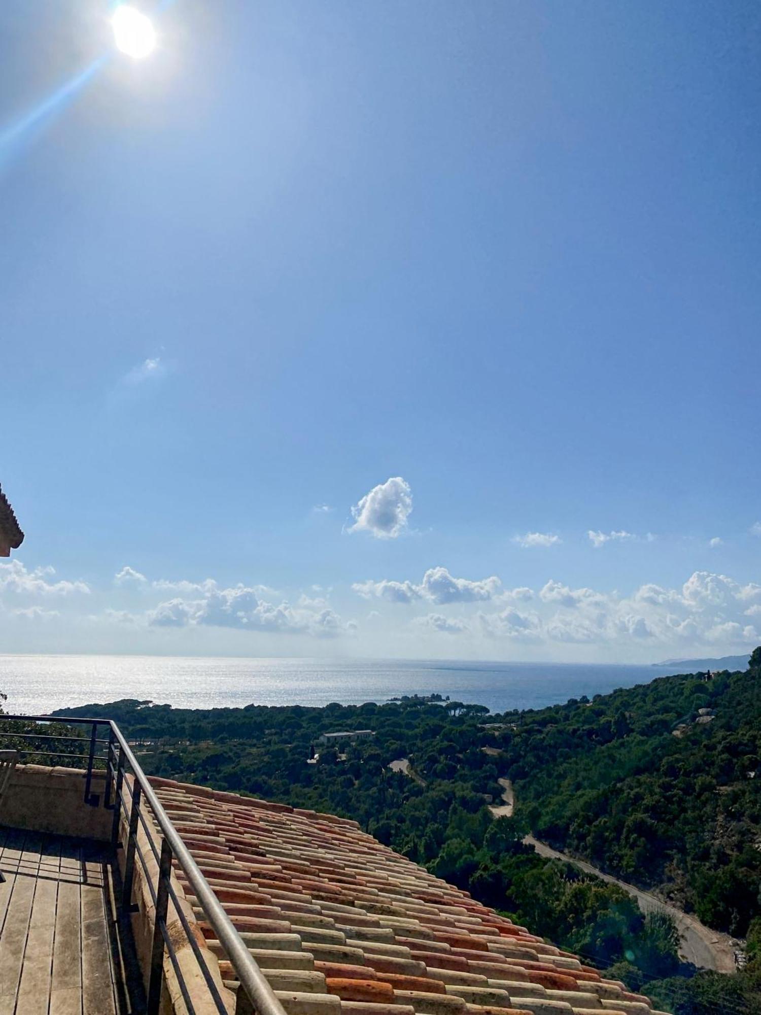 Les Terrasses De Scalegiu Porto-Vecchio (Corsica)
