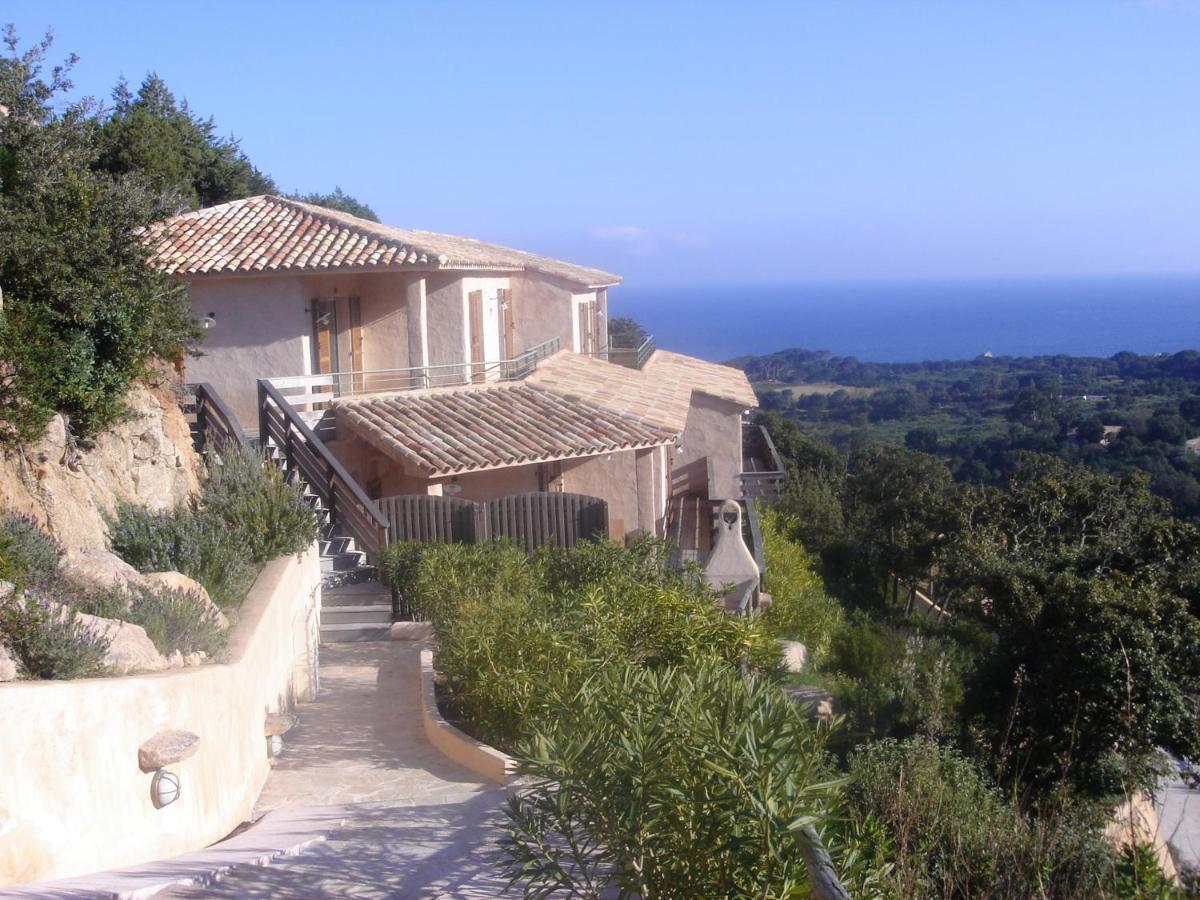 Les Terrasses De Scalegiu Hébergement de vacances