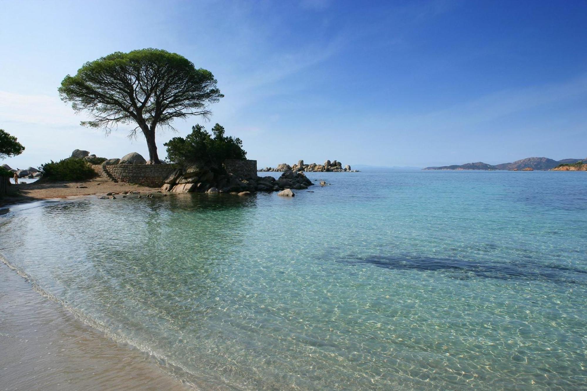Les Terrasses De Scalegiu * Porto-Vecchio (Corsica)